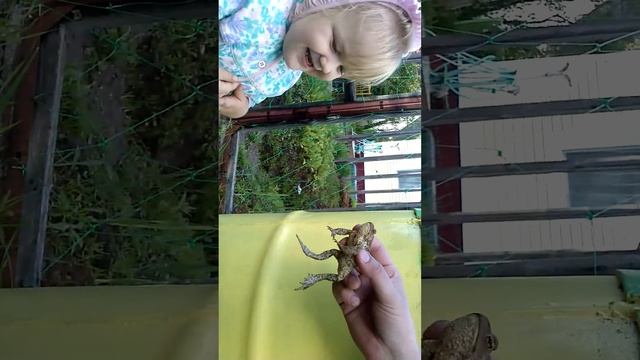 Опа попа смотреть онлайн