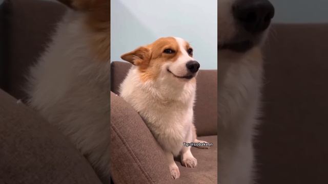 Доброе утро, мрияне! смотреть онлайн