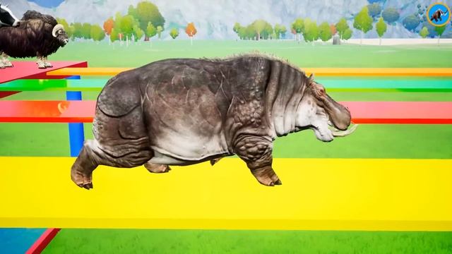 Choose The Right Box Key With Gorilla Cow Mammoth Elephant Tiger Rainbow Room Door Challenge Game смотреть онлайн