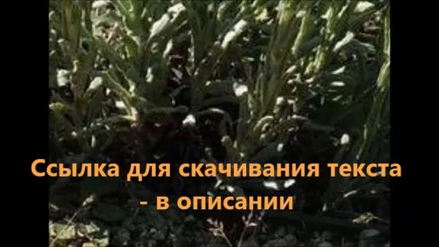 Mолитвенное правило схимонахини Антонии, данное Богородицею, аборт, выкидыш, родовые грехи смотреть онлайн