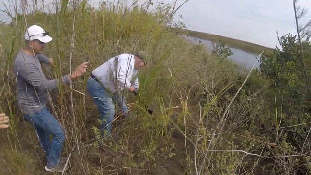 2022 Python hunt everglades Bill Booth guide raw unedited action around 9 min смотреть онлайн