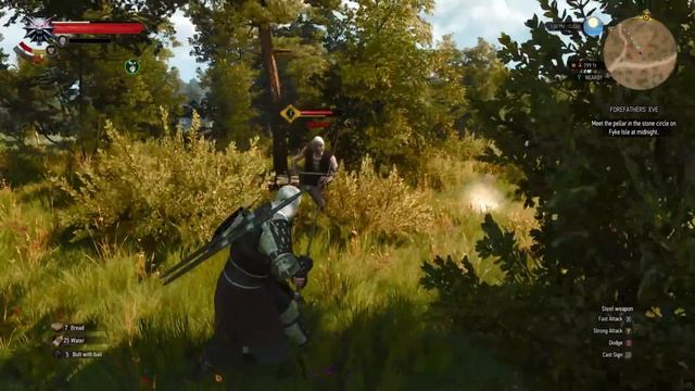 Witcher 3 CRITICAL Tips for Death March! - The Witcher 3 Next Gen Update (Tips and Tricks) смотреть онлайн