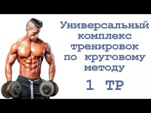 Универсальный комплекс тренировок по круговому методу (1 тр)