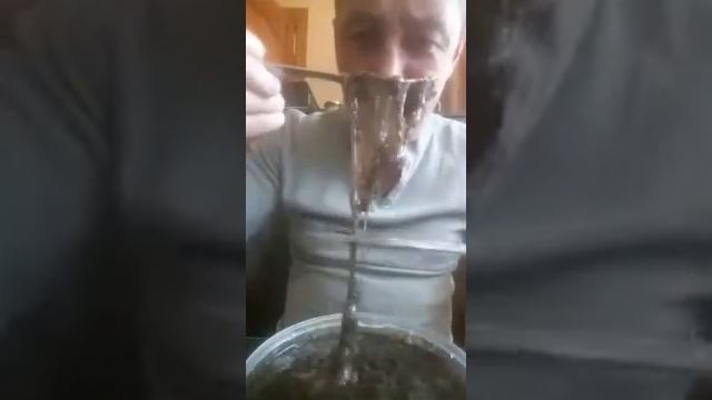 Трепанг с медом . Деликатес сомнительный) смотреть онлайн