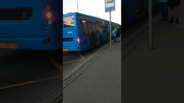 Автобус лиаз 6213.65 №08836 с маршрутом 157 смотреть онлайн