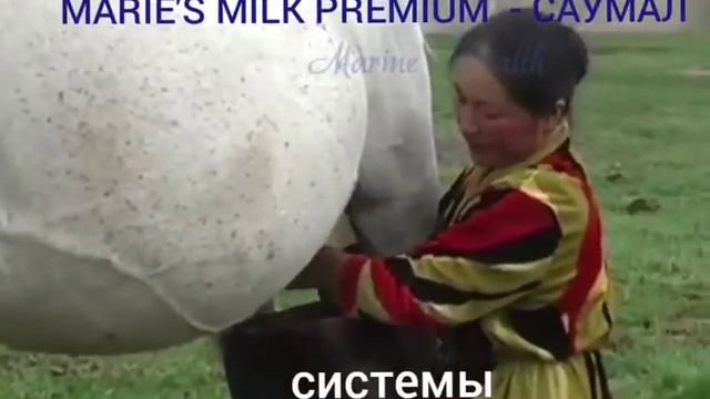 Саумал MARINE HEALTH GROUP смотреть онлайн
