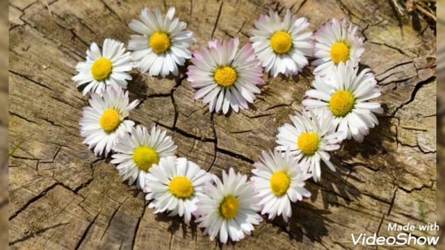 Донечці🥰 смотреть онлайн
