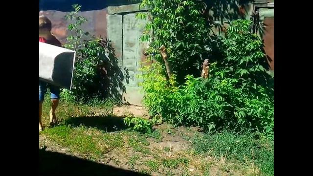 Алкаши в гараже №13 смотреть онлайн