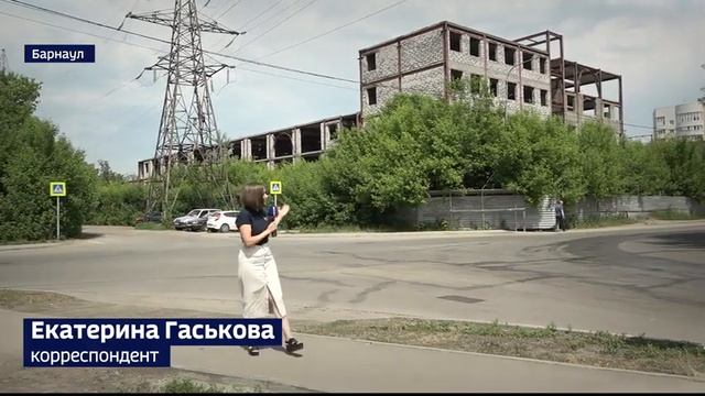 В барнаульском парке «Изумрудный» решили выпустить полк ежей, чтобы изловить змею смотреть онлайн