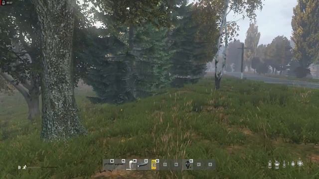 Пирсинг с стороны "церберы" в DayZ RP смотреть онлайн