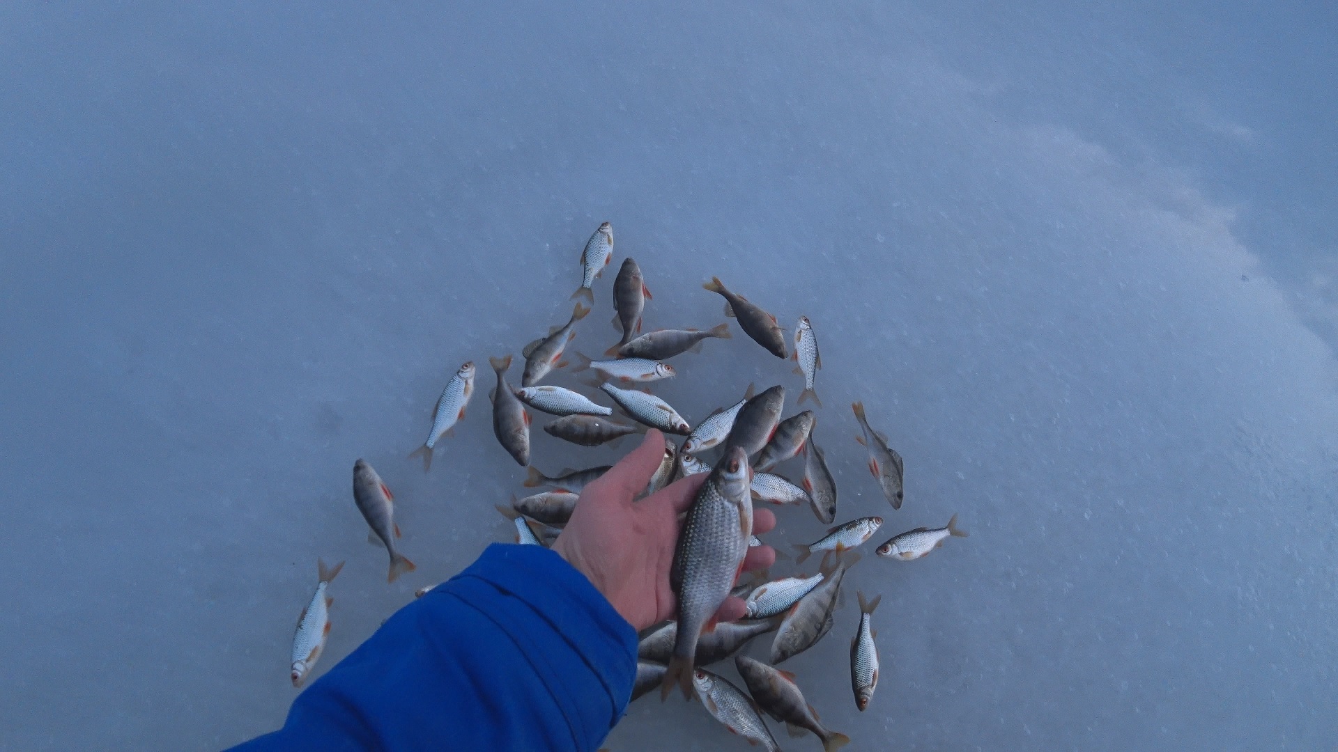 Сменили водоем, сел на старые лунки и  пошел КЛЁВ КАК ИЗ ПУЛЕМЕТА! Плотва и окунь 03.01.2023