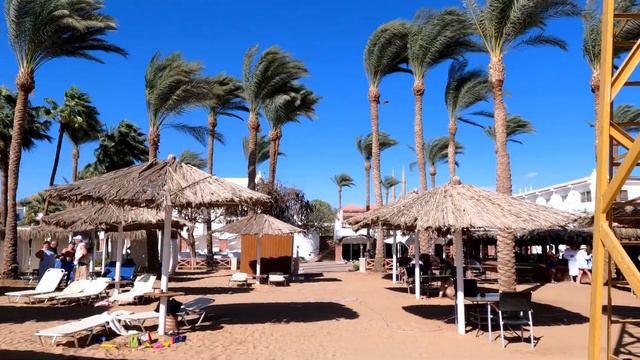 НАПАЛА РЫБА на пляже без рифа / Снорклинг в Iberotel Palace смотреть онлайн