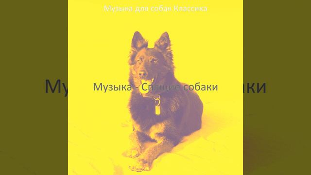 Звуки (Собаки Щенки) смотреть онлайн