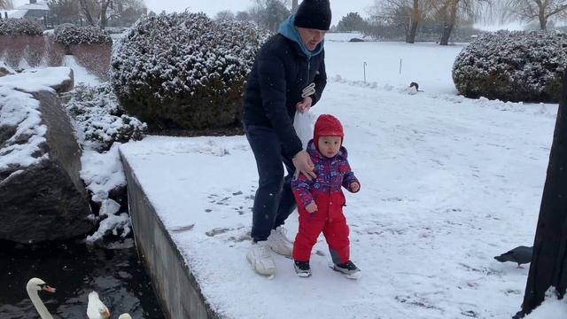 VLOG: СТЫДНО ПЕРЕД ДЕТЬМИ! ЗАГЛАЖИВАЮ ВИНУ // ДЕМЕНТЬЕВЫ // FAMILY VLOG смотреть онлайн