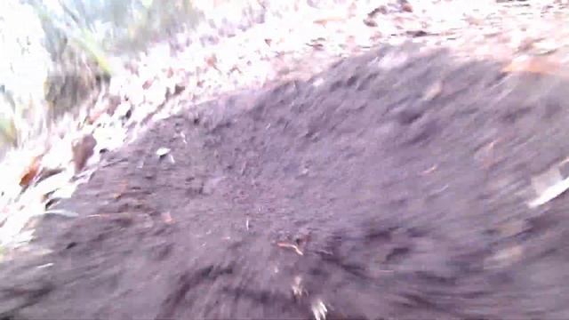 24 ЧАСА В ЛЕСУ. СТРОИМ ШАЛАШ. ЖАРИМ СОСИСКИ НА КОСТРЕ смотреть онлайн