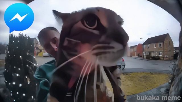 Cat Meows into door camera meme but Social Media ringtones смотреть онлайн
