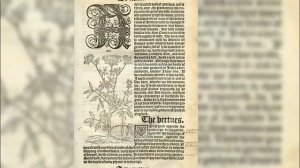 Пираты Карибского моря: сцены ЗА КАДРОМ и 22 ФАКТА о которых ВЫ НЕ ЗНАЛИ