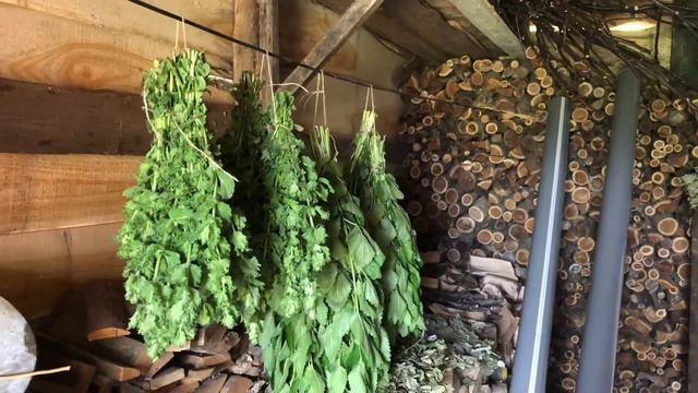 Обрезка мяты в июне. Делаем веники для сауны из мяты. Мой опыт смотреть онлайн