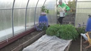 6 соток 18 октября 2023 года Хроника