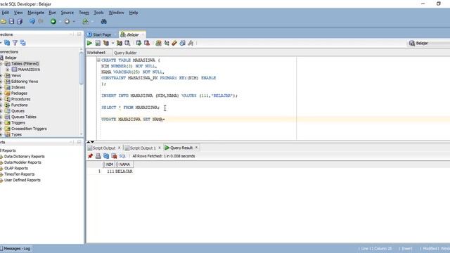 Cara INSERT, UPDATE dan DELETE Data di ORACLE SQL DEVELOPER PART 3 смотреть онлайн