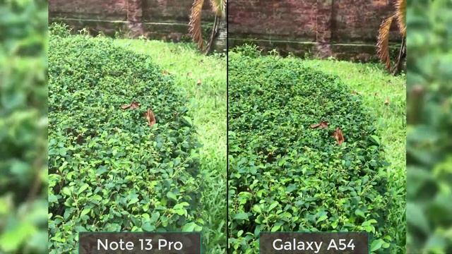 Redmi Note 13 Pro Vs Samsung Galaxy A54 Camera Test