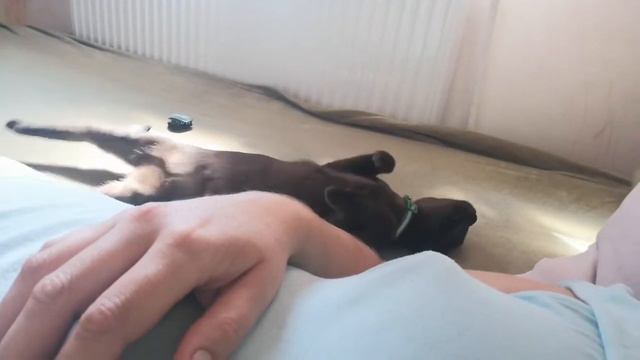 Отдых после уборки смотреть онлайн