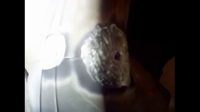 Замена пипки на камере. (часть 1).mp4 смотреть онлайн