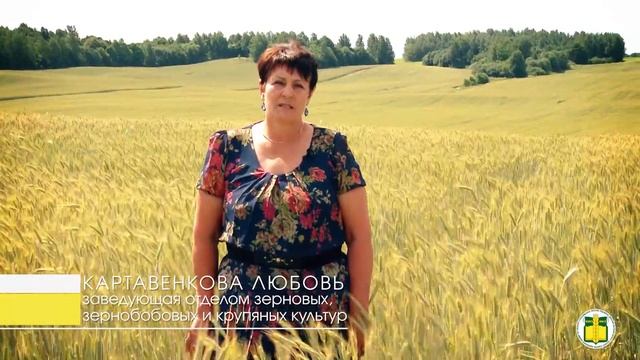 Витебский зональный институт сельского хозяйства смотреть онлайн