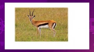 Естествознание. 2 класс. Тише едешь – дальше будешь /03.03.2021/