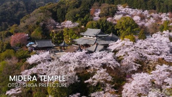 How To Spend Two Weeks in Japan - A Travel Itinerary