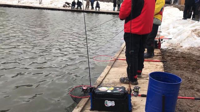 ФЛ на водоеме Парус, плавная проводка личинки смотреть онлайн