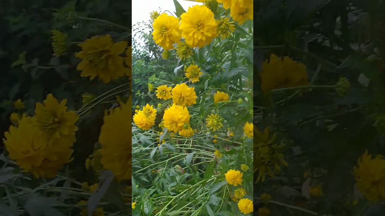 5 августа 2024 г. смотреть онлайн