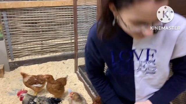 #deaf #глухих #глухие #ржя Экскурсии животные для глухих