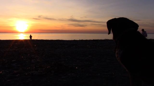 _01_12_2017_ВЕЧЕРНЯЯ ЗАРЯ_СОЧИ_пляж РИВЬЕРА.mp4 смотреть онлайн