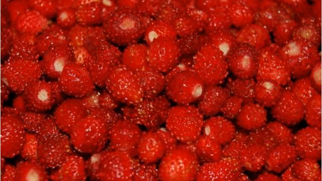 для канала (смотреть можно) смотреть онлайн