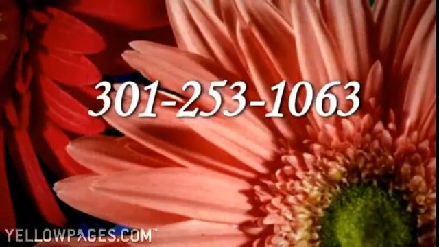 Beall's Florist смотреть онлайн