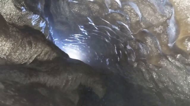 Меж.вахта на югах. Райский уголок. Домик на берегу, уазик и экскурсии. смотреть онлайн