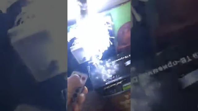 Гирлянда штора с пультом дистанционного управления (3*3 м, холодный белый) смотреть онлайн