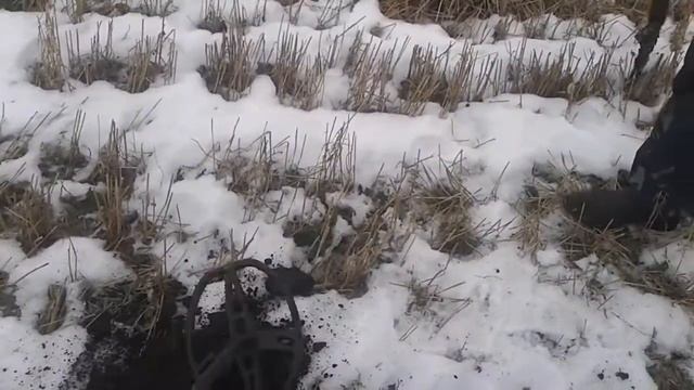 5 коп 1930г. смотреть онлайн