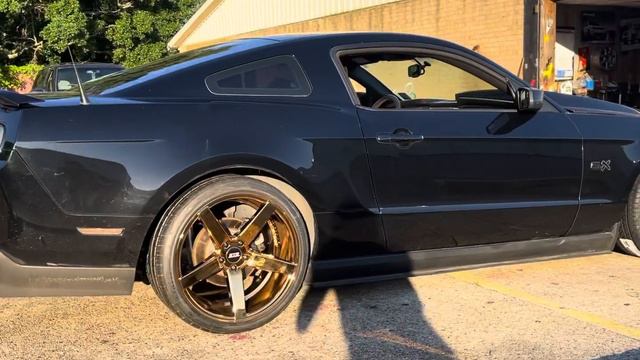 TURBO CHARGED FORD MUSTANG ON GOLD STR RIMS смотреть онлайн