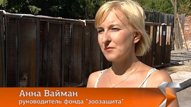 Животные падают в обморок от жары смотреть онлайн