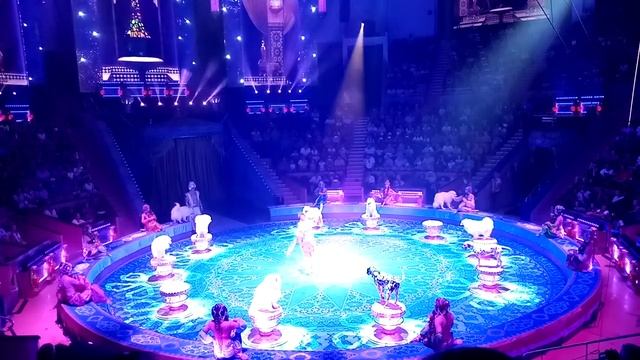 Цирковое Шоу Гии Эрадзе "Песчаная сказка"3. @Circus Show of Gia Eradze "Sand Fairy Tale"3. @ смотреть онлайн