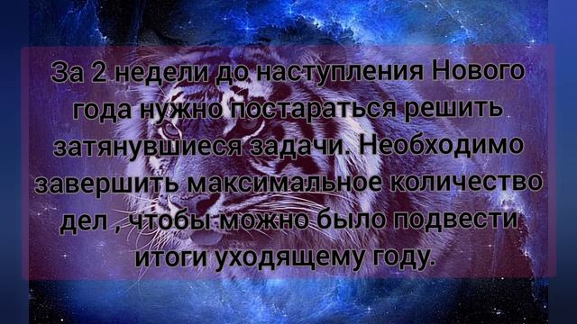Как встретить новый год Тигра / приметы 2022 смотреть онлайн