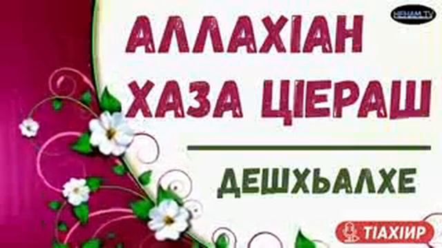 ❤АЛЛАХ1АН ХАЗА Ц1ЕРШ❤ смотреть онлайн
