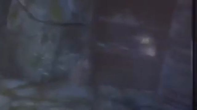 Dark Brotherhood Mage смотреть онлайн