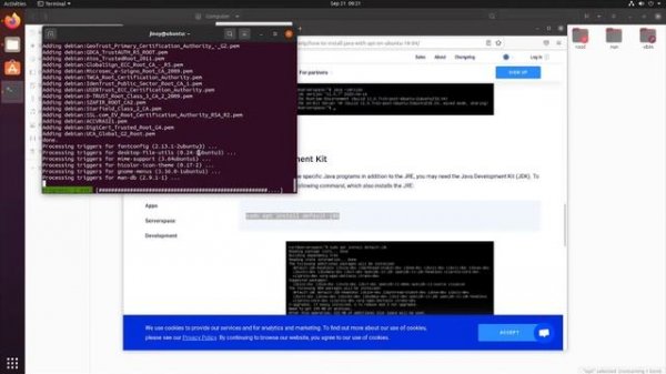 Install Java on Ubuntu Linux - Install jdk and jre version 8 on linux