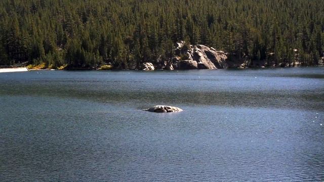 Qargish Tekken Sinfdoshlar.Dilkash Uz.Ибратли хикоя ва ривоятлар.Hikoyalar.Hayotiy Voqealar.