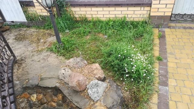 Пруд смотреть онлайн