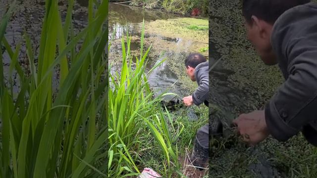 Устройство для рыбалки смотреть онлайн