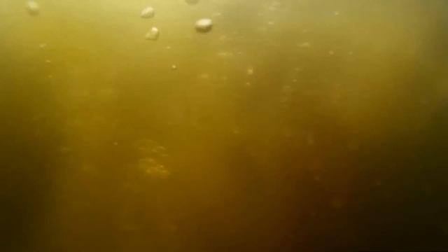 прыжки в воду смотреть онлайн